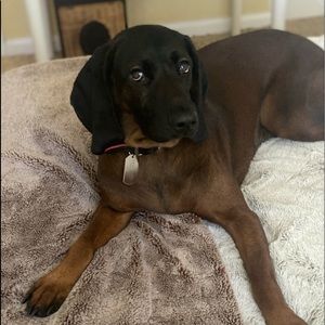 Meet your Posher, Kathleen